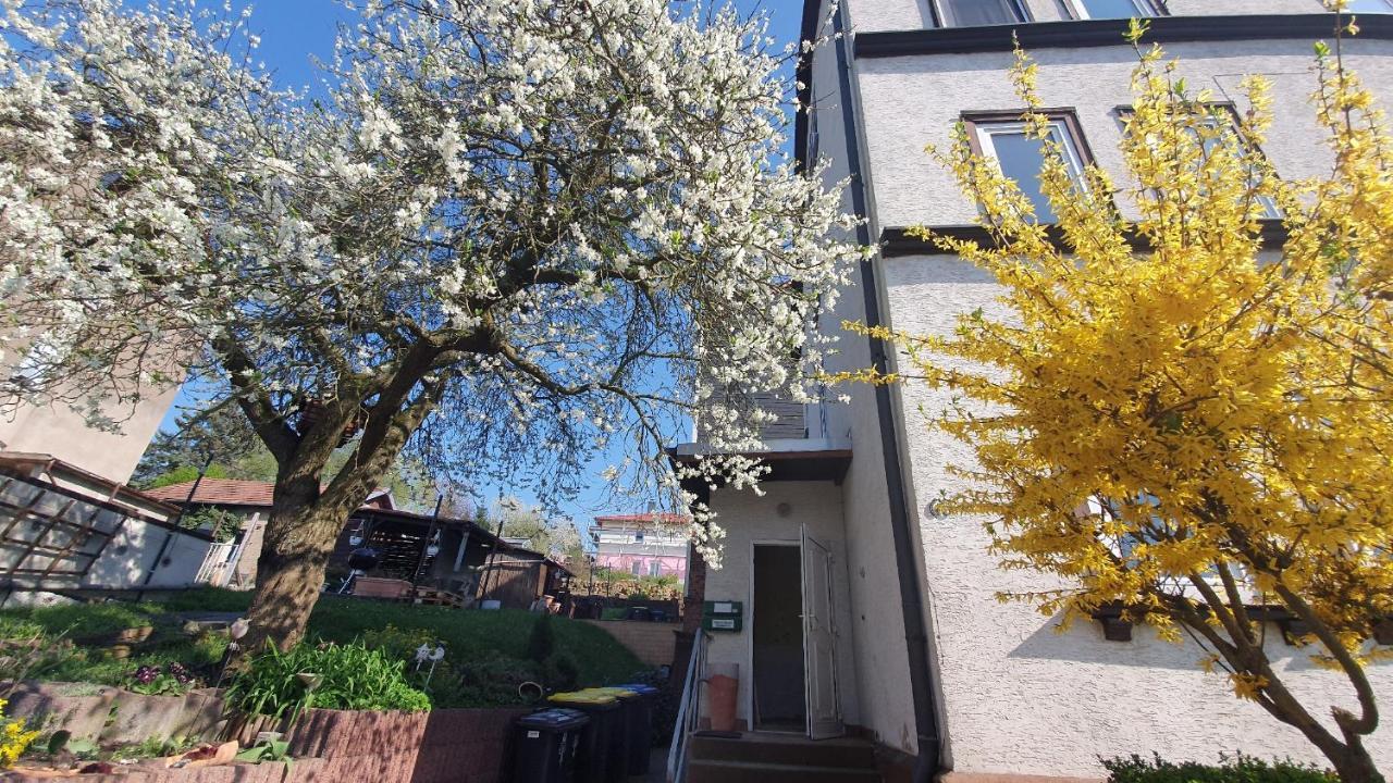 Schoene Aussicht, Wallbox, 70Qm, Kontaktloser Check-In Eisenach Exterior foto